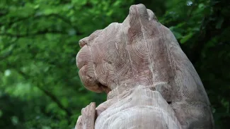 Dans la peau de l’Homme Lion